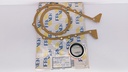 KIT TAPA CADENA FORD V8 401-475-477-534 - Vista 3