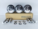 PISTON TRAIL BLAZER 4.2 030 (1.2X1.5X2.5 93MM)(PASADOR DE 23MM) - Vista 2