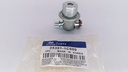 REGULADOR GASOLINA GETZ ELANTRA 1.6 - Vista 2