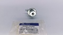 REGULADOR GASOLINA GETZ ELANTRA 1.6 - Vista 4