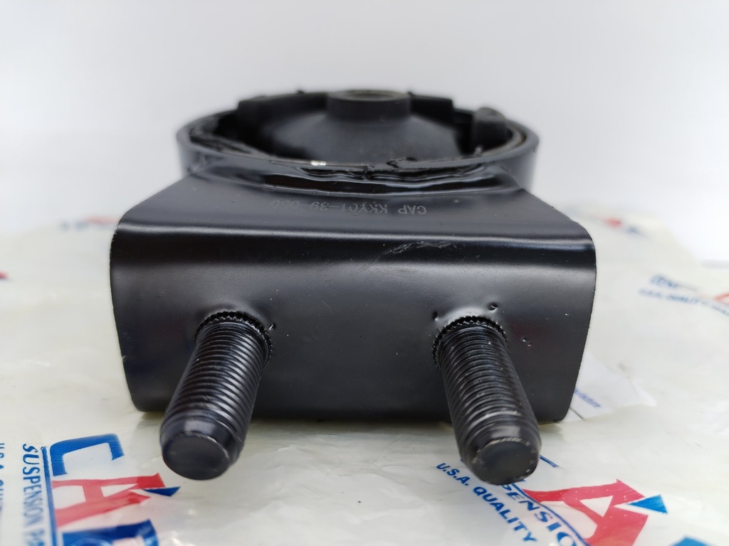 BASE MOTOR DELT FESTIVA TURPIAL - Vista 3