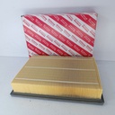 FILTRO AIRE FORTUNER HILUX LEXUS REVO DUBAI 16-21 - Vista 3