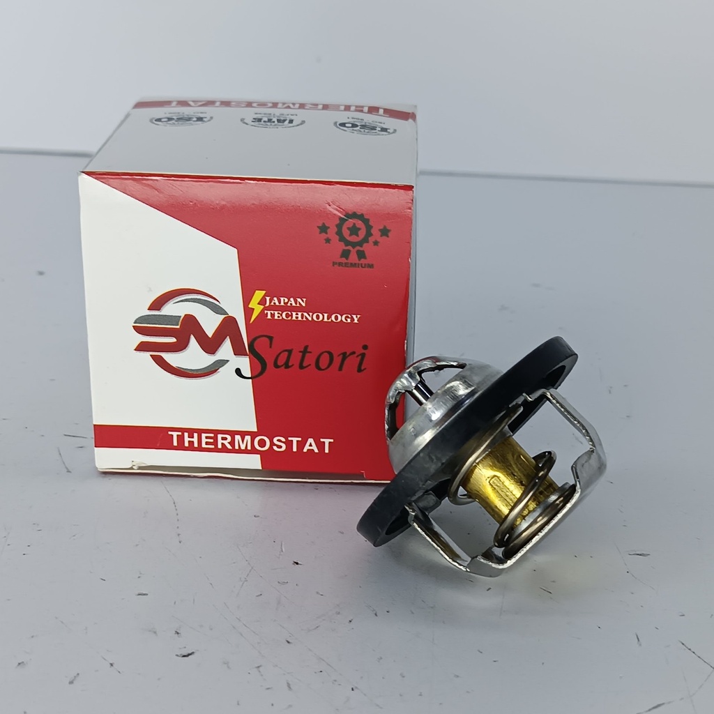 TERMOSTATO LOGAN MEGANE - Vista 1