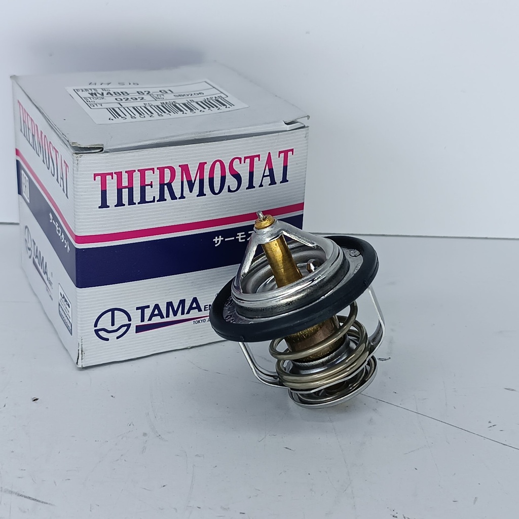 TERMOSTATO NISSAN PATHFINDER R51 - Vista 1