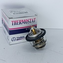 TERMOSTATO NISSAN PATHFINDER R51 - Vista 1