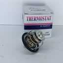 TERMOSTATO NISSAN PATHFINDER R51 - Vista 3