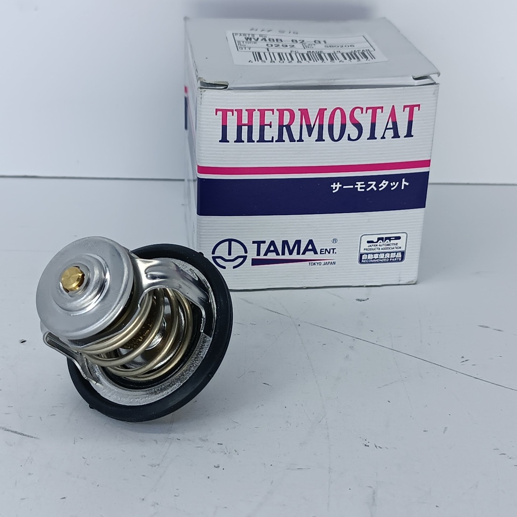 TERMOSTATO NISSAN PATHFINDER R51 - Vista 4