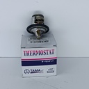 TERMOSTATO NISSAN PATHFINDER R51 - Vista 5