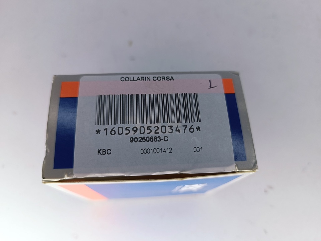 COLLARIN CORSA - Vista 4