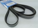 CORREA UNICA SUPER DUTY 6.2 - Vista 1