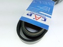 CORREA UNICA SUPER DUTY 6.2 - Vista 4