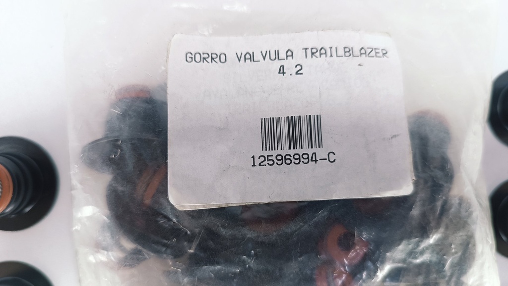 GORRO DE VALVULA TRAILBLAZER 4.2 JUEGO DE 24 - Vista 5