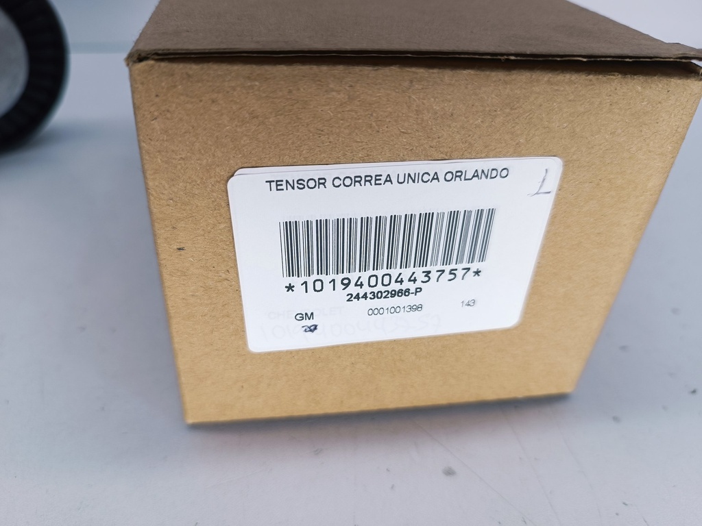 TENSOR CORREA UNICA ORLANDO - Vista 4
