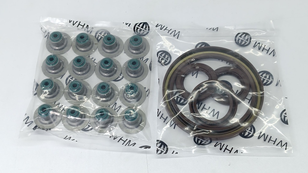 KIT EMPACADURA MEGANE CLIO SCENIC KANGOO SYMBOL 1.6 16v - Vista 3