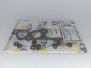 KIT INYECTOR EMPACADURA MULTIPLE FIAT PALIO - Vista 2