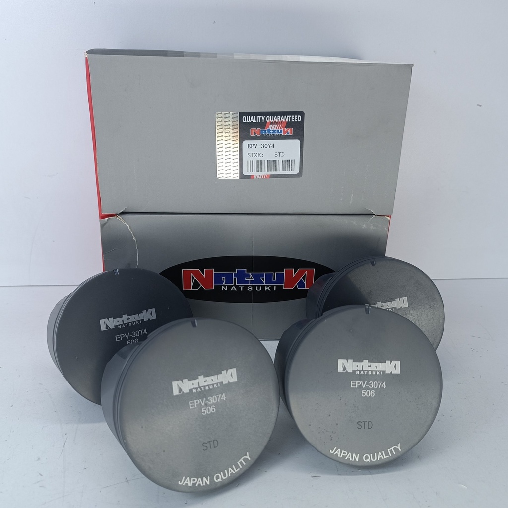 PISTON ECOSPORT FOCUS DURATEC MAZDA 3 2.0 (STD) (1.2X1.2X2.5 87.5MM) - Vista 1
