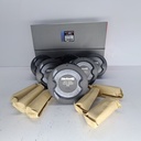 PISTON MACHITO AUTANA BURBUJA LAND CRUISER CARB 4.5 1FZ 050 (2X2X4 100MM) - Vista 1