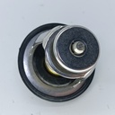 TERMOSTATO CAMRY 3.5 2GR 06-09 - Vista 4