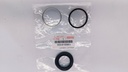 KIT CALIPER MACHITO 24V. MACHO CHASSIS LARGO V6 02/11 PAST. D772-76390 43MM - Vista 2