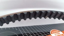 KIT CORREA TIEMPO FIAT PALIO 1.8 111 DIENTES (CORREA GATES) - Vista 4
