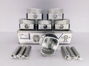 PISTON BLAZER TBI 262 4.3 V6 (020) (2X2X4.75 101.60MM) - Vista 3