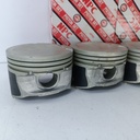 PISTON OPTRA LIMITED (030) (1.2X1.5X3 81.6MM) - Vista 5