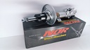 AMORTIGUADOR DELT FORD ECOSPORT TITANIUM RH 14-16 - Vista 2