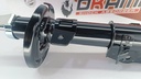 AMORTIGUADOR DELT FORD FIESTA TITANIUM RH - Vista 2