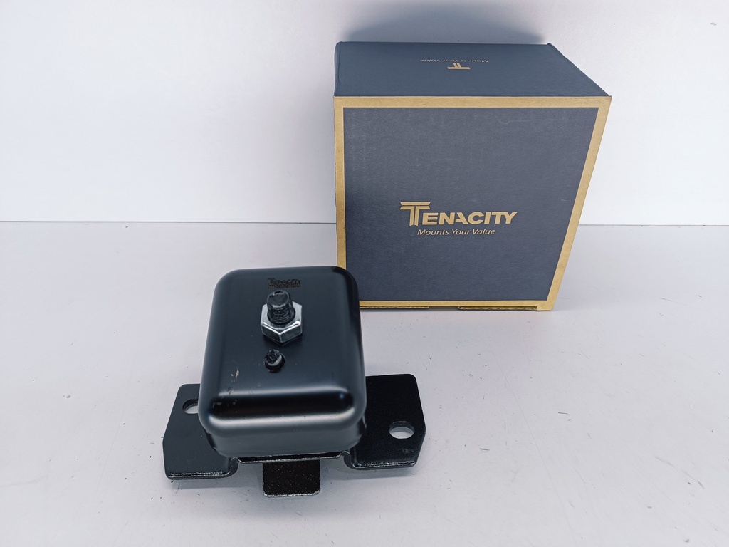 BASE MOTOR IZQ TERIOS 02-07 - Vista 1