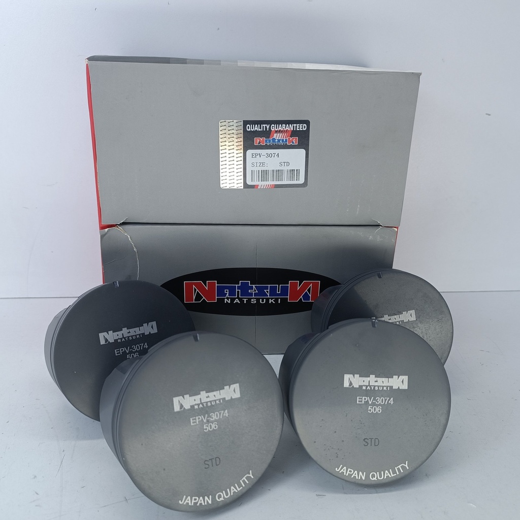PISTON ECOSPORT FOCUS DURATEC MAZDA 3 2.0 (STD) (1.2X1.2X2.5 87.5MM)