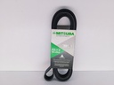 CORREA UNICA FIESTA BALITA 1.6 DIRECCION MECANICA