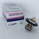 TERMOSTATO NISSAN PATHFINDER R51