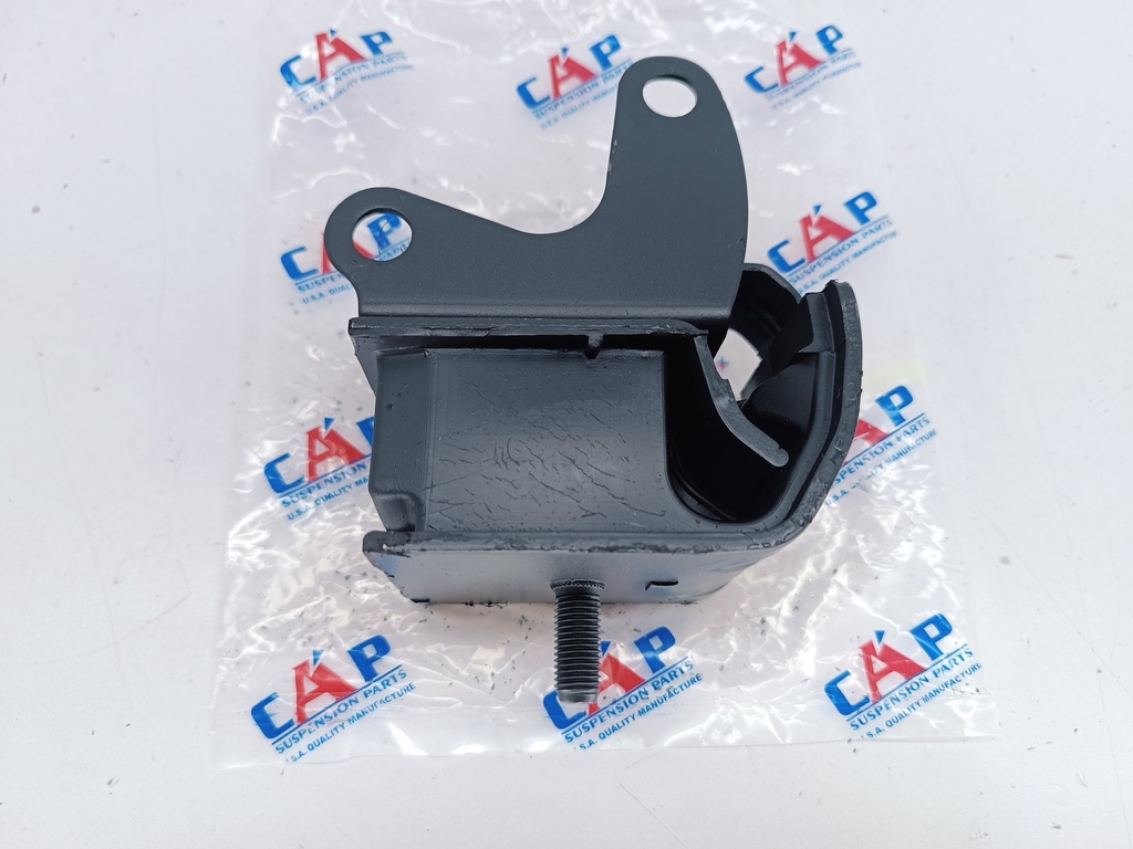 BASE MOTOR TRAS FESTIVA TURPIAL