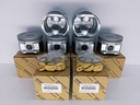 PISTON MACHITO AUTANA BURBUJA LAND CRUISER F.I. 4.5 1FZ 075 (1.75X2X4 100MM)