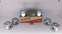 PISTON MACHITO AUTANA BURBUJA LAND CRUISER CARB 4.5 1FZ STD (2X2X4 100MM)