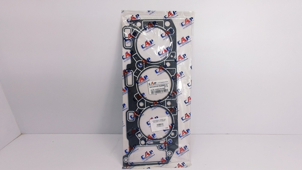 EMPACADURA CAMARA DER EXPLORER 4.0 RANGER (4 CADENA)