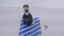 MUÑON INF DELT CHEVROLET C20-C30
