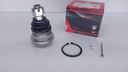MUÑON INF L300 86-06 H100 92-97
