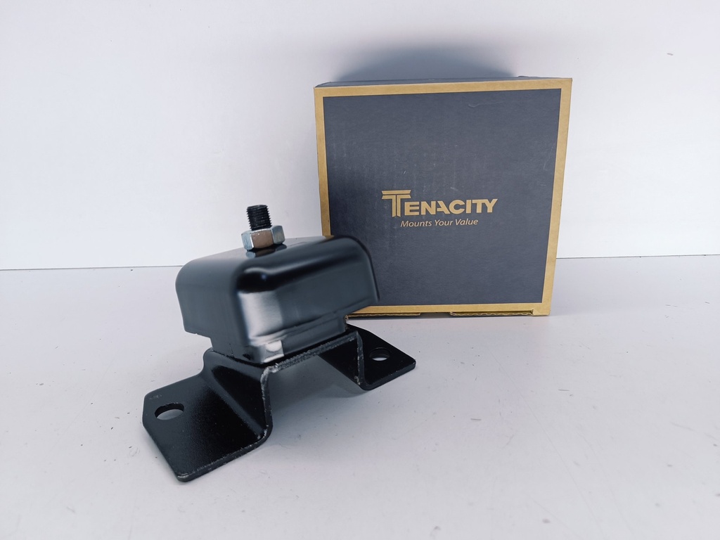 BASE MOTOR IZQ TERIOS 02-07